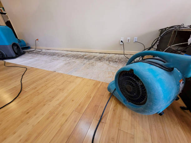 Professional Water Removal technician working in Bonham, TX